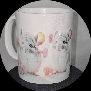 Chinchilla Workout Motivation Mug 7 Of 12